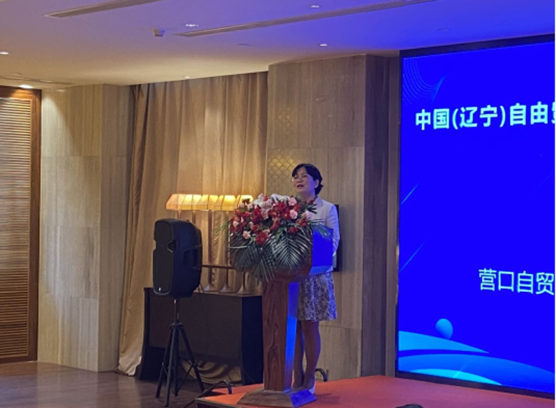 镁砂行业的风向标：动态与趋势